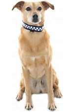 Equisafety Reflective LED POLITE Flashing Dog Collar POLDC-S Prolite LED